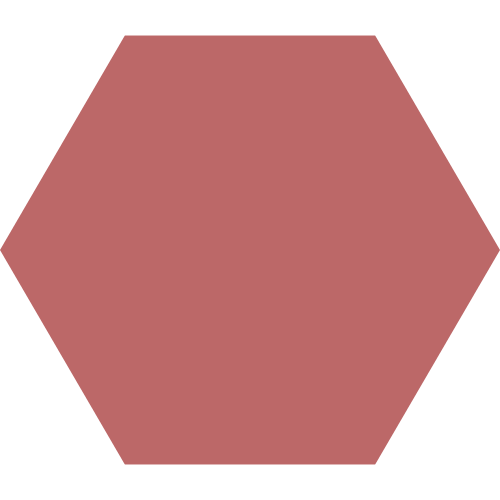 ICONO HEXÁGONO ROJO PALO SIN FONDO